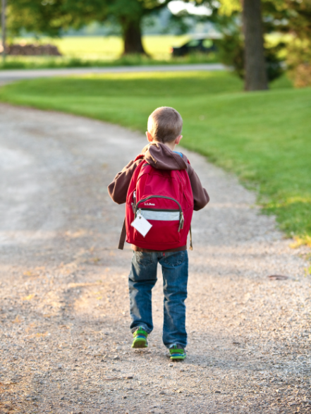 School child backpack